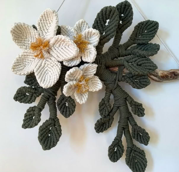 Hanging macrame 3D frangipani with leaves on a driftwood branch